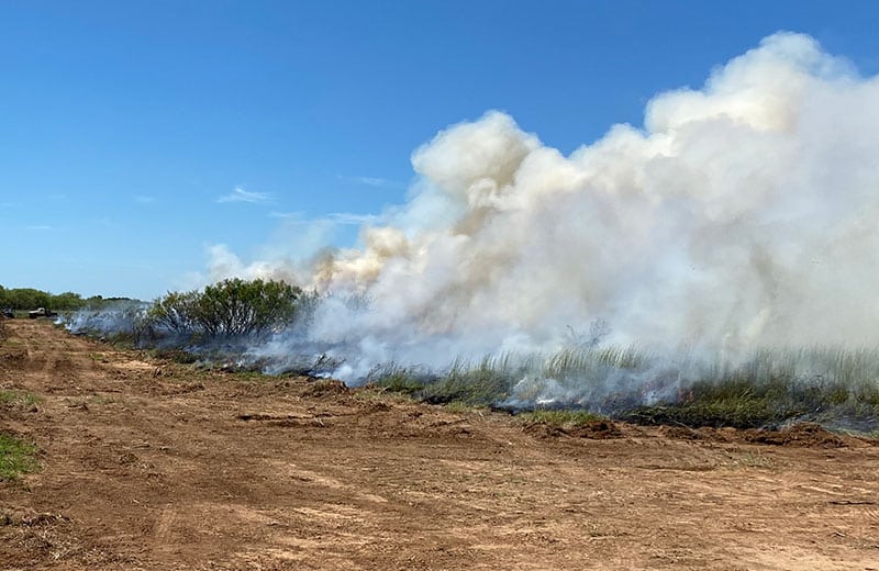 Prescribed Fire - Brush Management