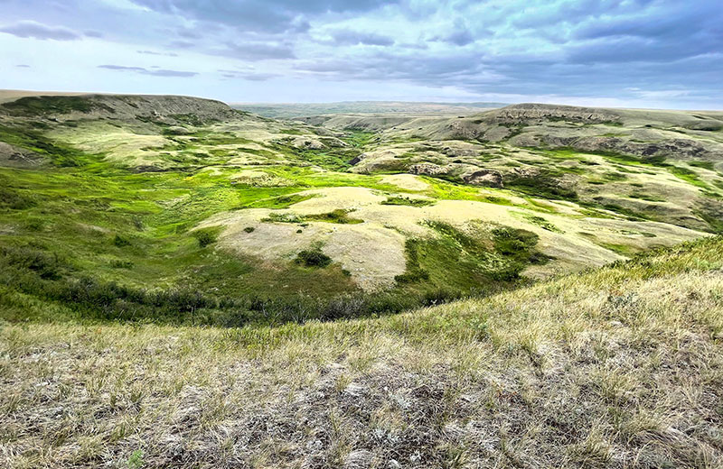 McIntyre Ranch